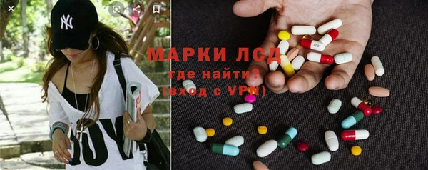 сатива Гусев