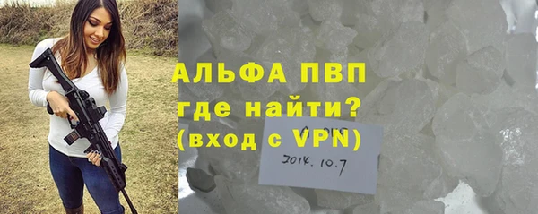 сатива Гусев